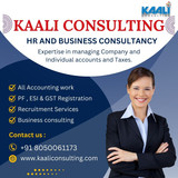 kaaliconsulting hr and business consultancy Copy