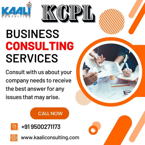 Kaaliconsulting business consulting services (1).jpg