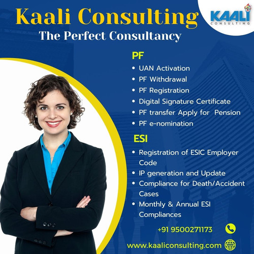 kaali consulting accounting services (1) Copy.jpg