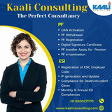kaali consulting accounting services (1) Copy