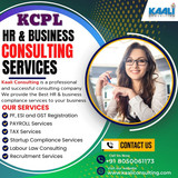Kaaliconsulting HR business compliance Copy
