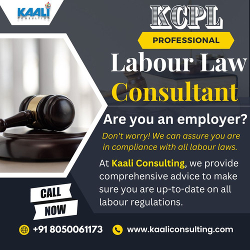 Labour Law Consultant Kaali Consulting.jpg