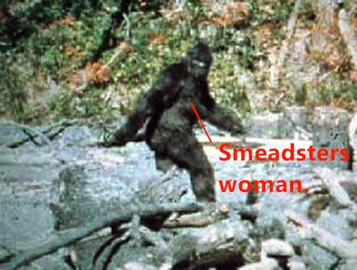 bigfoot.jpg