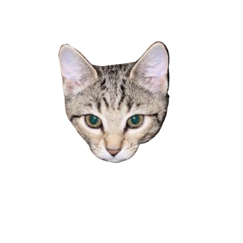 image0.png