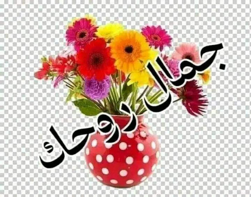 FB IMG 1677334993934.jpg