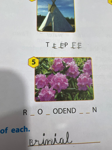 9eceef413c24.jpg