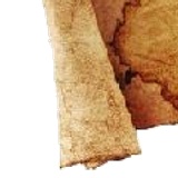 m1