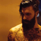 4.gif