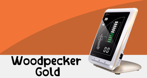 4apexWoodpeckerGold.jpg