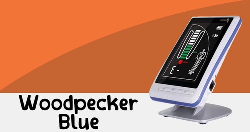 5apexWoodpeckerBlue.jpg