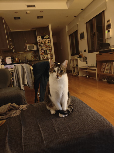 IMG20220928233959.jpg