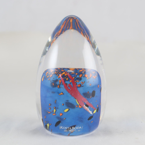 518995128 cca5a768 671b 4be6 bdb5 7d9f59d7478d.jpg