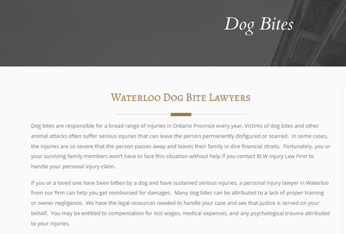 Auto Accident Lawyer Waterloo - BLW Injury Law (226) 499-5287.png