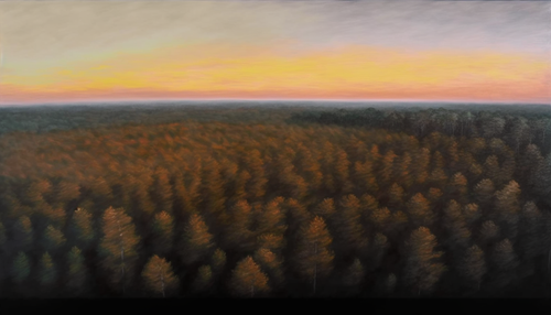JDC aerial view forest hyperreal pastel painting sunset autumn 68ba5f86 2fc3 4ce3 9554 004fcb4d03fc.png