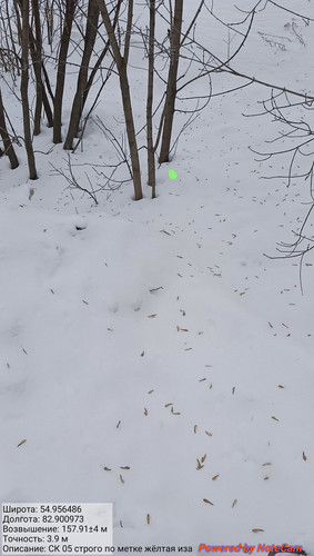 IMG 20230228 143223.jpg