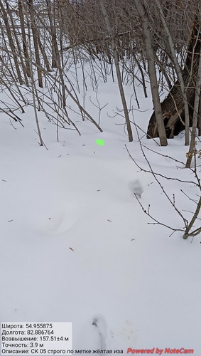 IMG 20230228 151928.jpg