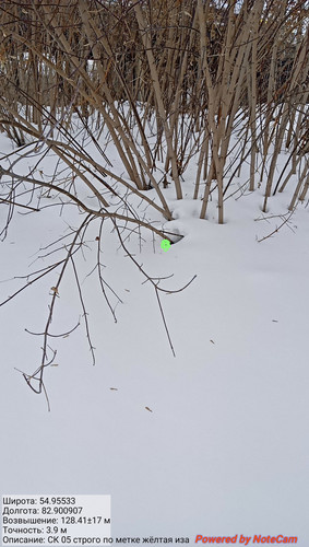 IMG 20230228 142936.jpg