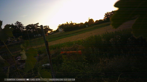 PTDC1302.jpg