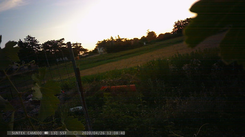 PTDC1296.jpg