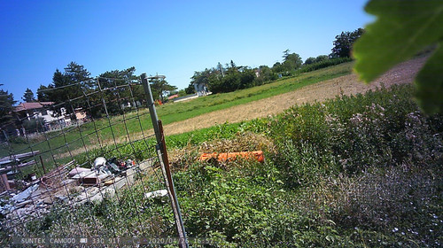 PTDC1346.jpg