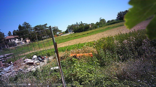 PTDC1341.jpg