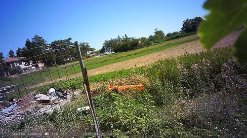 PTDC1347.jpg