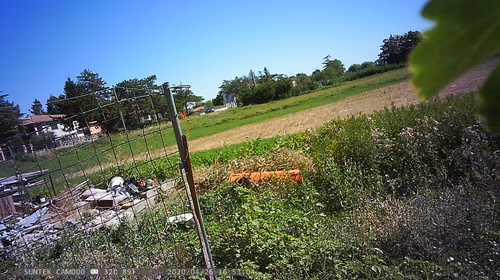 PTDC1339.jpg