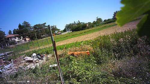PTDC1345.jpg