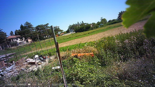 PTDC1335.jpg