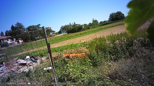 PTDC1348.jpg
