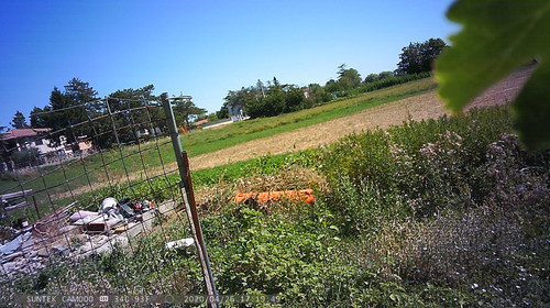PTDC1380.jpg