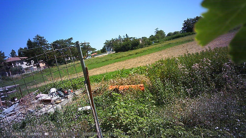PTDC1358.jpg