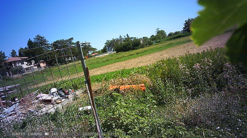 PTDC1376.jpg