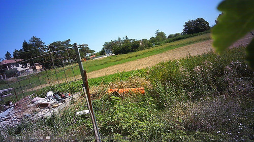 PTDC1370.jpg