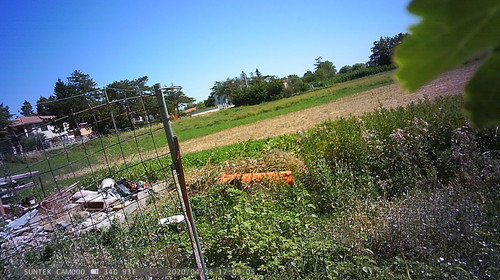 PTDC1362.jpg