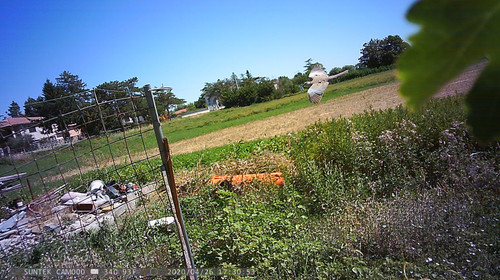 PTDC1399.jpg