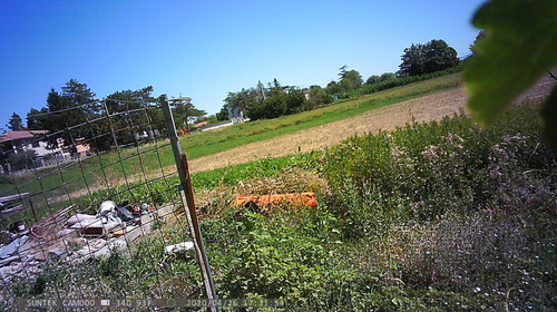 PTDC1400.jpg