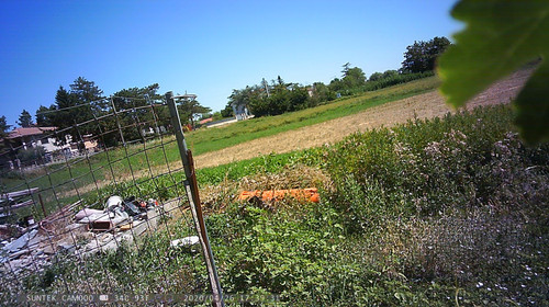 PTDC1418.jpg