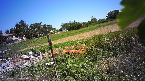 PTDC1429.jpg