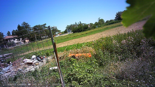 PTDC1437.jpg