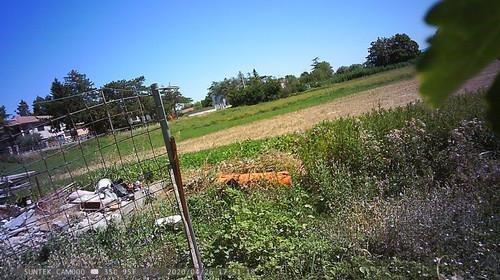 PTDC1447.jpg