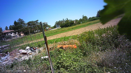 PTDC1460.jpg