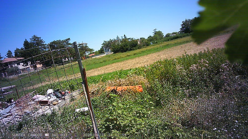 PTDC1466.jpg