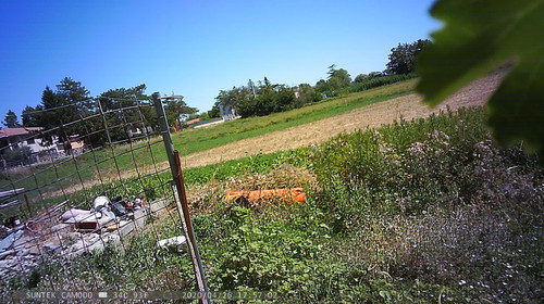 PTDC1451.jpg