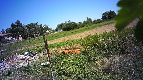 PTDC1462.jpg