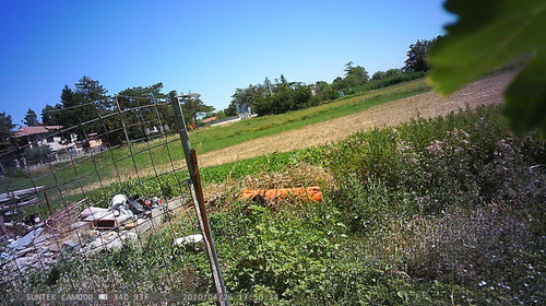 PTDC1444.jpg