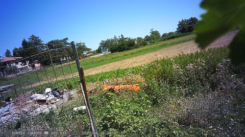 PTDC1463.jpg