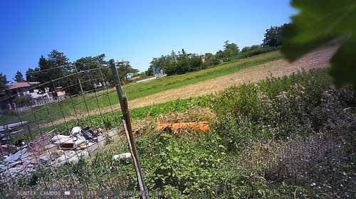 PTDC1471.jpg