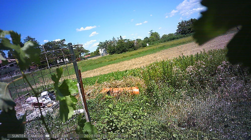 PTDC1485.jpg