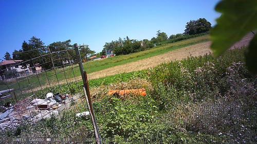 PTDC1478.jpg